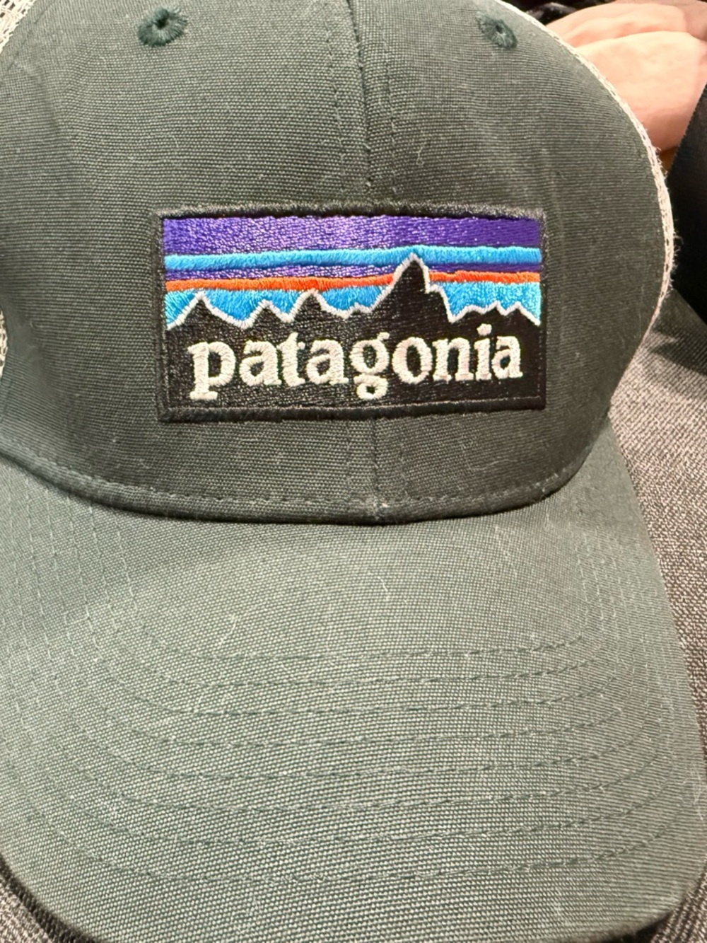 Patagonia Mesh Trucker Hat in Black with Multicolor Logo